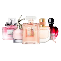 Exclusive Women Collection