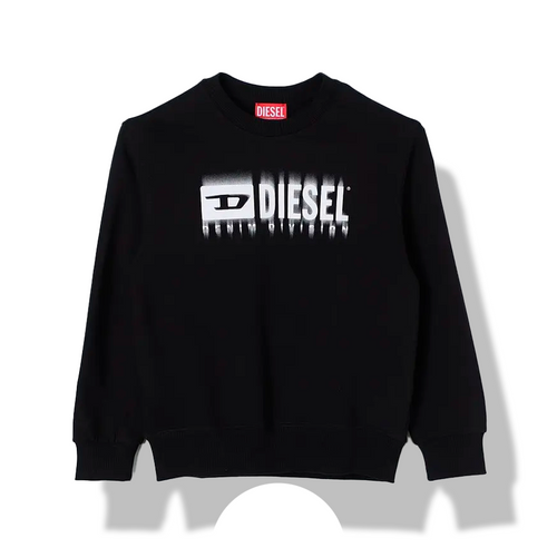 DSL SWEATSHIRT
